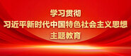 中国亚洲日本韩国泰国性生活视频学习贯彻习近平新时代中国特色社会主义思想主题教育_fororder_ad-371X160(2)